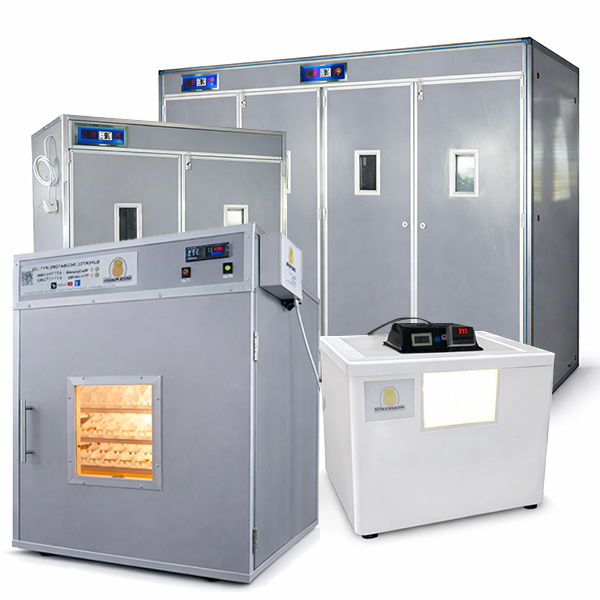 Smart Incubation, Exceptional Results